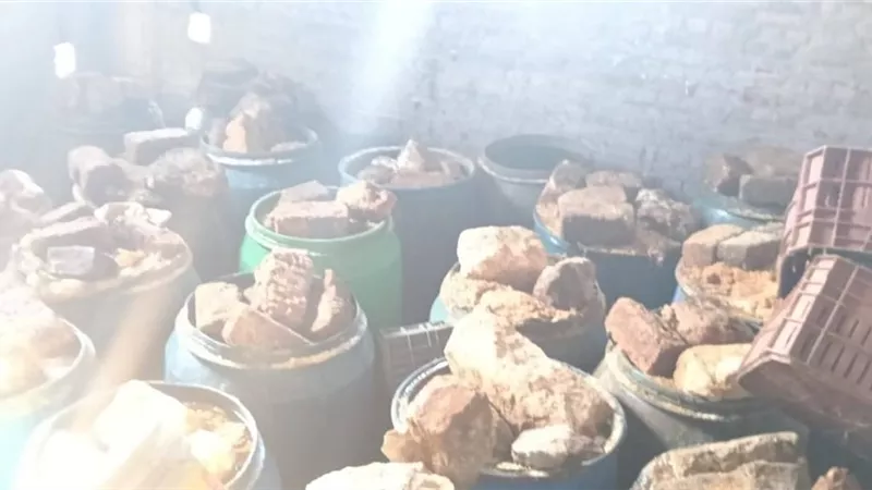 ضبط 12 طن فسيخ غير صالح للاستهلاك الآدمي بكفرالشيخ