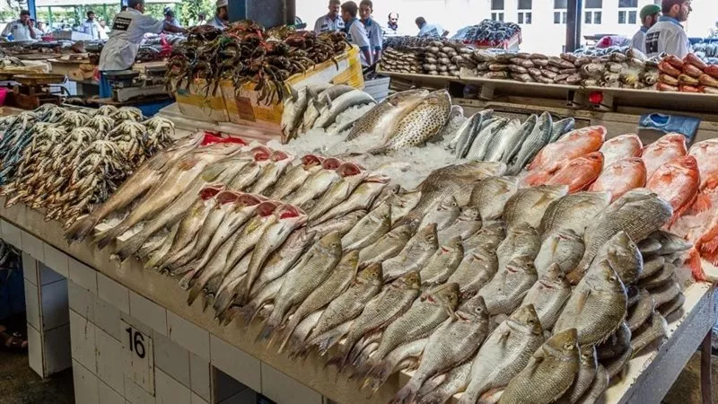 أسعار الأسماك في الأسواق اليوم الثلاثاء 11 نوفمبر