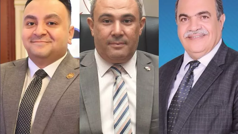 الحسيني أمينا لصندوق اتحاد المهن الطبية وسالم وحمدي أعضاء في المجلس  