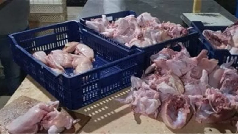 الطب البيطري بالغربية يضبط 294 كيلو لحوم ودواجن وأسماك غير صالحة للاستهلاك