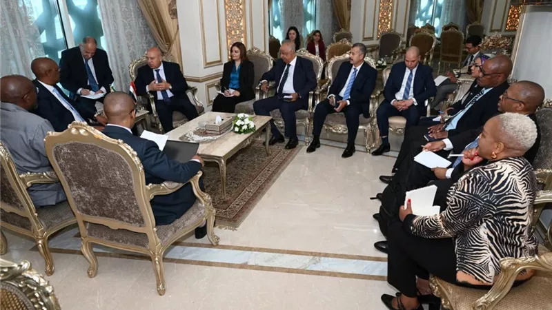 تشكيل لجنة مشتركة بين مصر وجنوب أفريقيا  للتعاون بصناعات السيارات والحديد