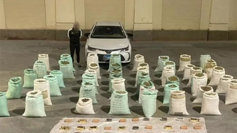 مضبوطات بـ 95 مليون جنيه.. سقوط تاجر الكيف في الإسماعيلية