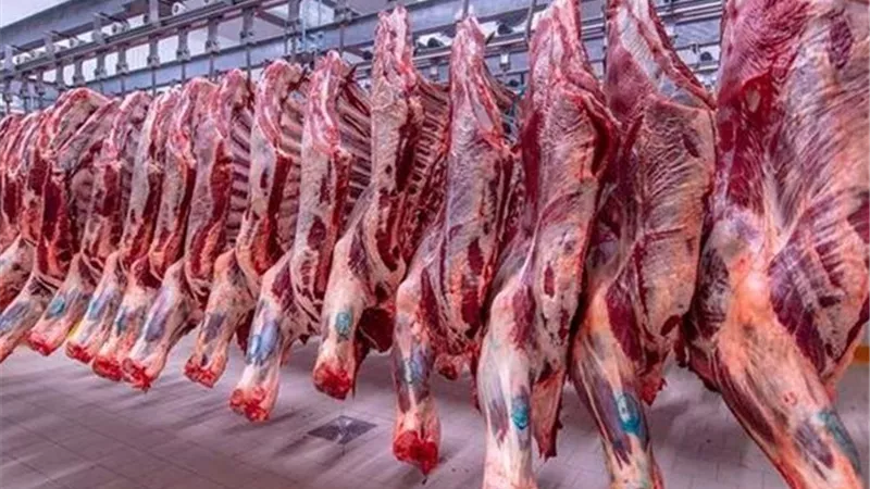 أسعار اللحوم اليوم الأربعاء 12 نوفمبر 2025   