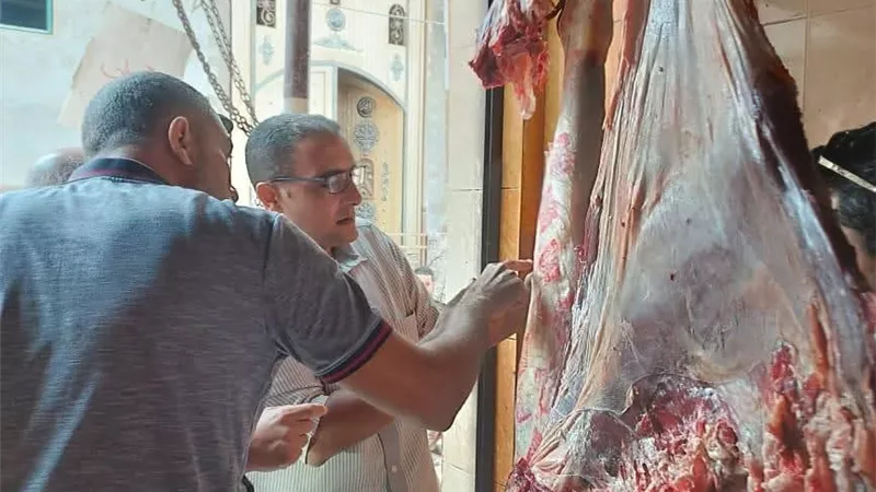100 كيلو بختم مزور.. ضبط لحوم مذبوحة خارج السلخانة بالمنوفية 