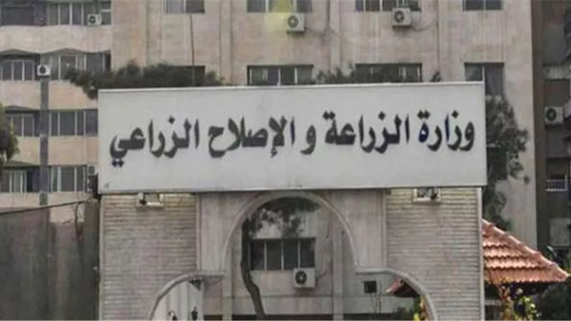 جاد الله: معمل النخيل انشىء بقرار وزارى والمختص بالإنتاج في مصر| فيديو