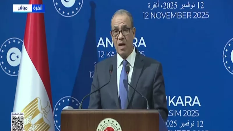 وزير الخارجية: علاقات القاهرة وأنقرة تتجه إلى آفاق أرحب| فيديو