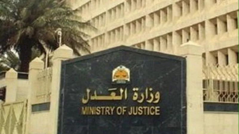 قانون الإجراءات الجنائية الجديد.. تفاصيل تنظيم المحاكمة عن بُعد