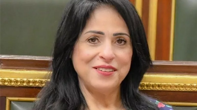 ميرال الهريدي: قانون الإجراءات الجنائية نقلة تاريخية