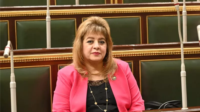 هناء أنيس: البرلمان القادم صوت الشعب الحقيقي ويعمل لصالحه