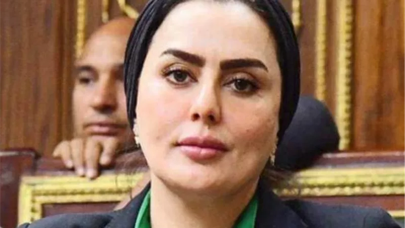 رحاب موسى: تصديق الرئيس السيسي على قانون الإجراءات الجنائية خطوة تاريخية
