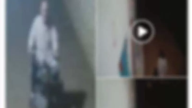 القبض على شخص اعتدى على زوجة شقيقه بالدقهلية.. «الميراث السبب»