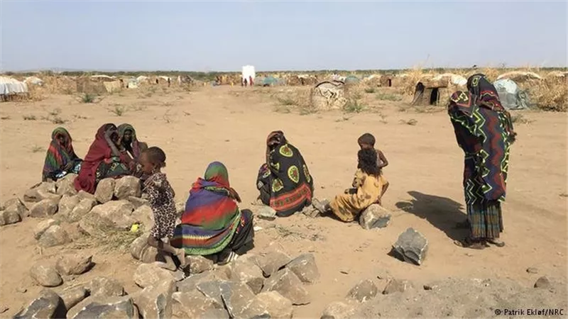 لاجئو المناخ.. أزمة هجرة تتجاوز الحدود والحروب 