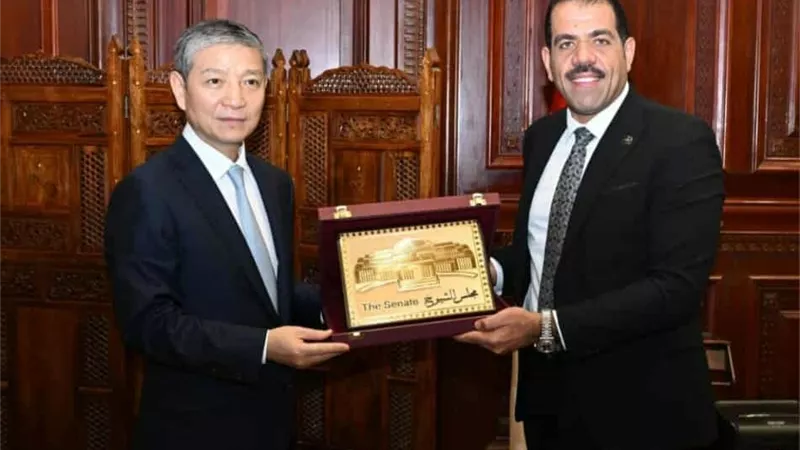 مصر والصين تبحثان تعزيز العلاقات البرلمانية والسلم والأمن الدوليين