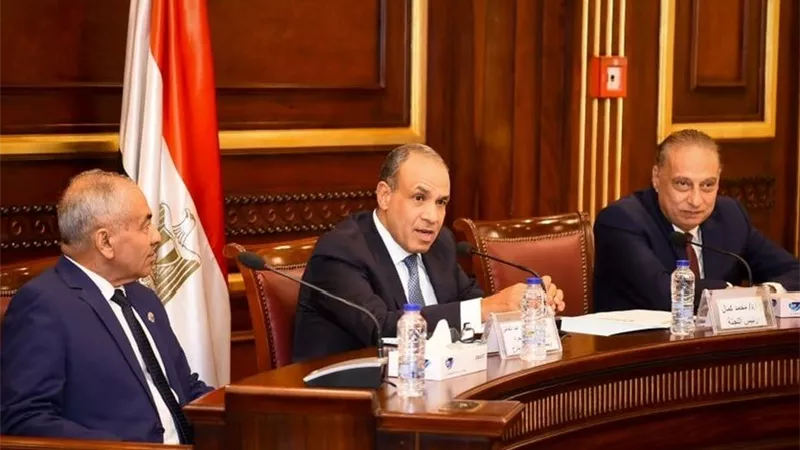 وزير الخارجية يلتقي لجنة العلاقات الخارجية والعربية والأفريقية