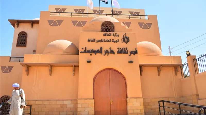 قصور الثقافة تحتفي بعيد الطفولة بـ100 فعالية |تفاصيل 