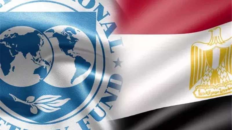 صندوق النقد الدولي: مراجعتا برنامج دعم مصر تجرى في ديسمبر وسط تحسن اقتصادي