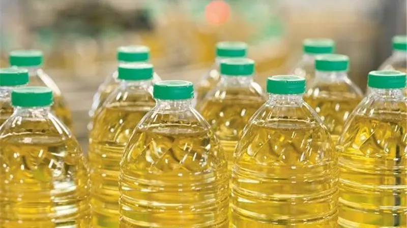 أسعار الزيت اليوم الجمعة 14-11-2025 في الأسواق المصرية