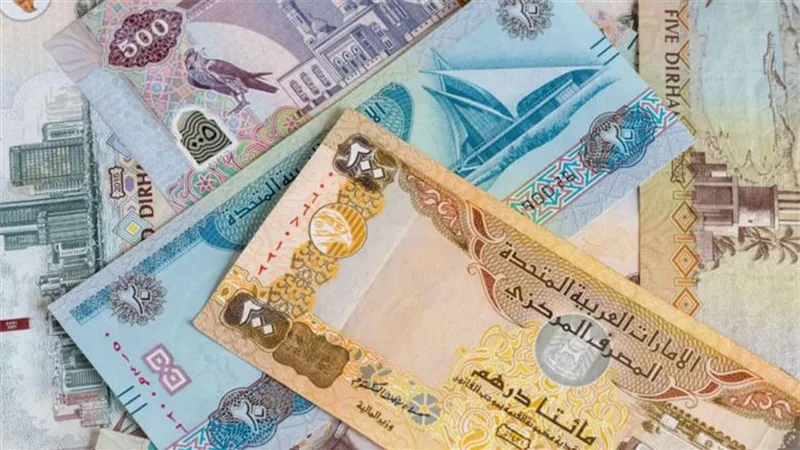 سعر الدرهم الإماراتي أمام الجنيه اليوم 14 نوفمبر