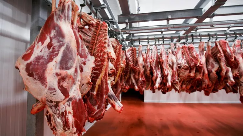 أسعار اللحوم اليوم.. انخفاض الكندوز والبتلو واستقرار الضأن في الأسواق