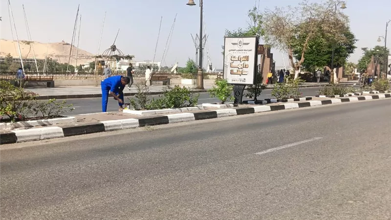 مشاركة مجتمعية للتجميل بعدة مناطق في أسوان