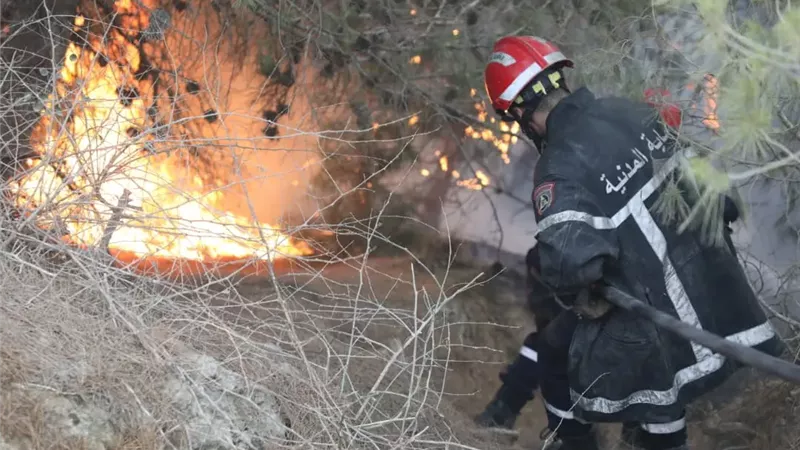 22 حريقًا في ليلة واحدة.. ماذا يحدث في الجزائر؟ |شاهد 