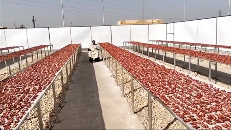 ذوو الهمم يقودون التنمية والتصنيع الزراعي وتنمية المجتمع المحلي بالأقصر