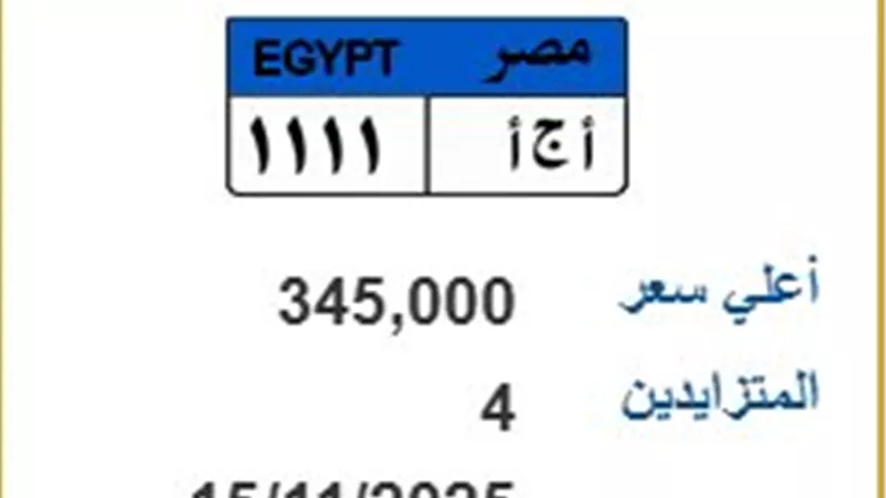 4 أشخاص يشعلون المزاد على لوحة معدنية مميزة والسعر يقفز لـ345 ألف 