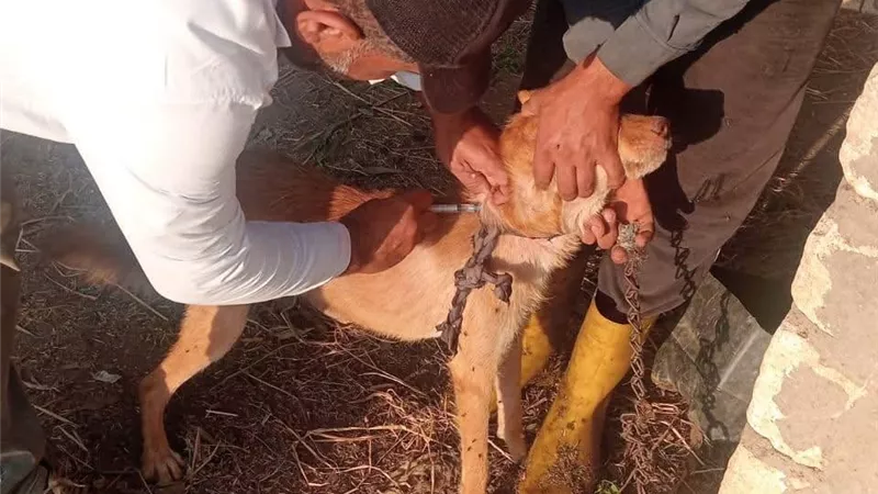 حملة إرشادية بقرى كفر الشيخ عن الحمى القلاعية والوادي المتصدع