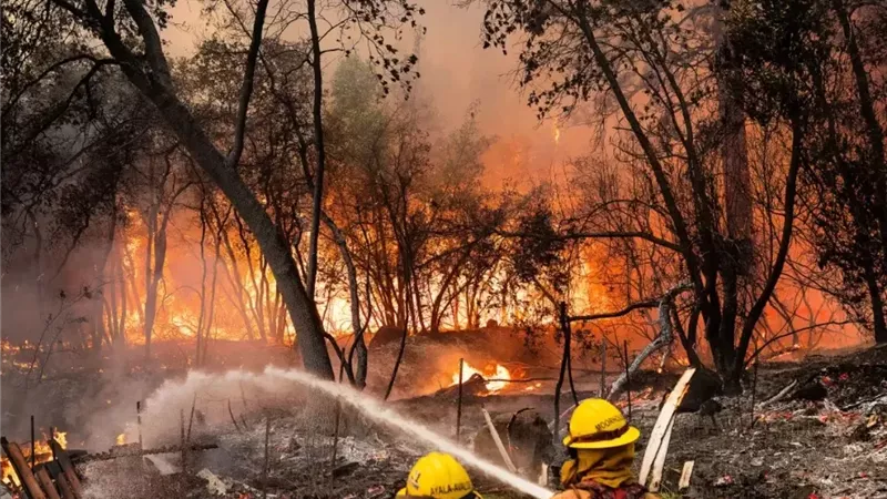 باك فاير يلتهم آلاف الأفدنة في كاليفورنيا.. ويجبر السكان على المغادرة