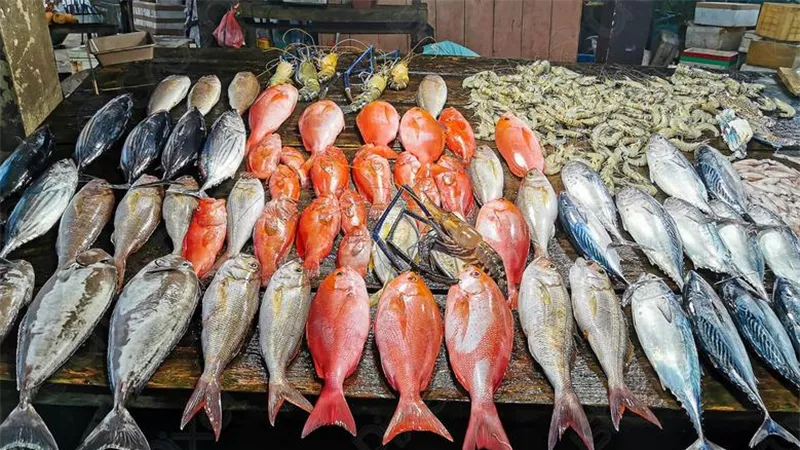 سعر السمك في سوق العبور: انخفاض البلطي والبوري وارتفاع الجمبري