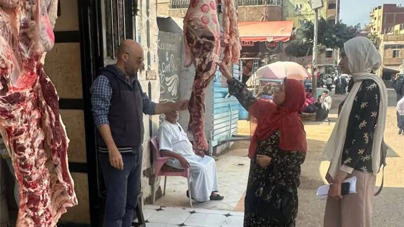 القليوبية تشن حملات رقابية مكثفة لضبط الأسواق وحماية حقوق المواطنين