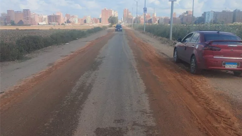 في استجابة سريعة.. محافظ كفر الشيخ يعلن الانتهاء من رفع كفاءة طريق روينة