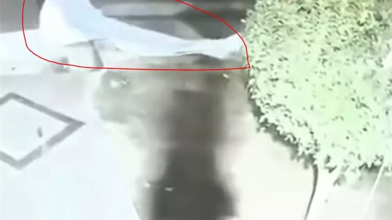حدث في المنصورة: اقتحام مقر أحد المرشحين وتمزيق البنرات الانتخابية|فيديو