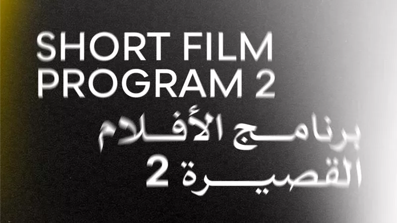 اليوم.. عرض أربعة أفلام قصيرة ضمن فعاليات الدورة الـ46 لمهرجان القاهرة