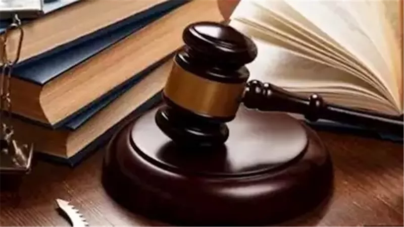 عضو بـ «الشيوخ»: قانون الإجراءات الجنائية  نقلة نوعية في منظومة العدالة