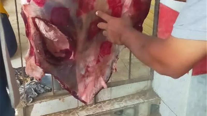 ضبط لحوم مذبوحة خارج المجازر في حملة تفتيشية بالمنوفية  