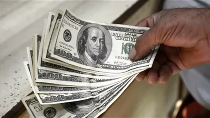 استقرار سعر الدولار مقابل الجنيه اليوم الأحد في البنوك المصرية