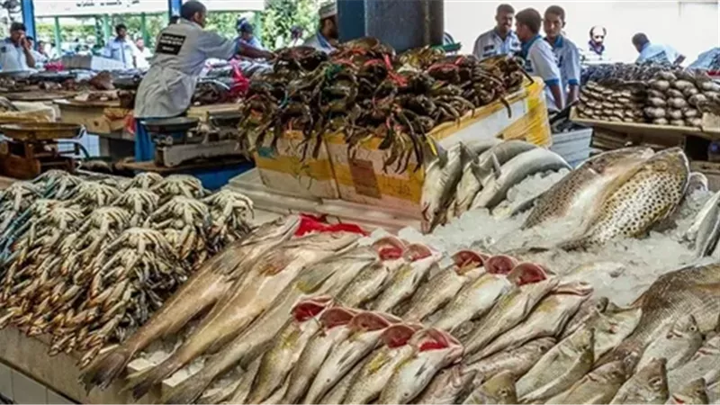 اليوم.. البلطي يبدأ من 110 جنيهات والبوري من 170 جنيهًا