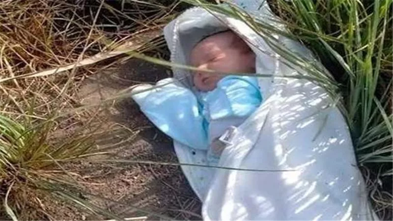 مجهولة النسب.. العثور على جثة رضيعة بجوار محور الشهيد باسم فكري بقنا