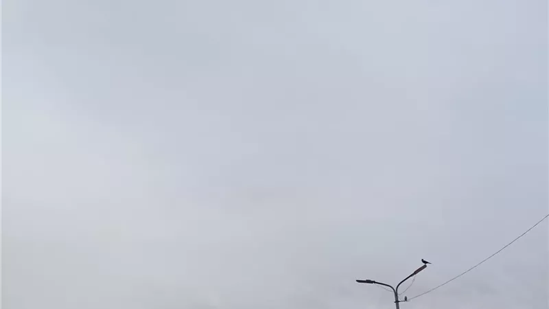 طقس الإسماعيلية.. دافئ صباحا وغيوم خفيفة