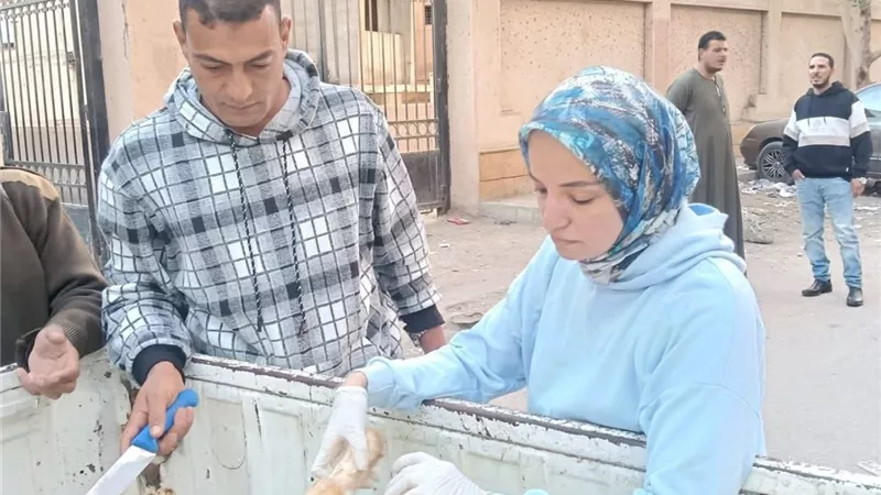 حملة تفتيش كبرى ببني سويف تضبط عشرات الأطنان من اللحوم الفاسدة