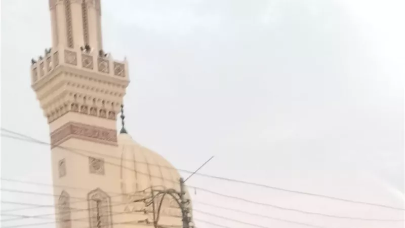 توقعات طقس اليوم في الغربية.. نشاط رياح وانخفاض تدريجي في الحرارة