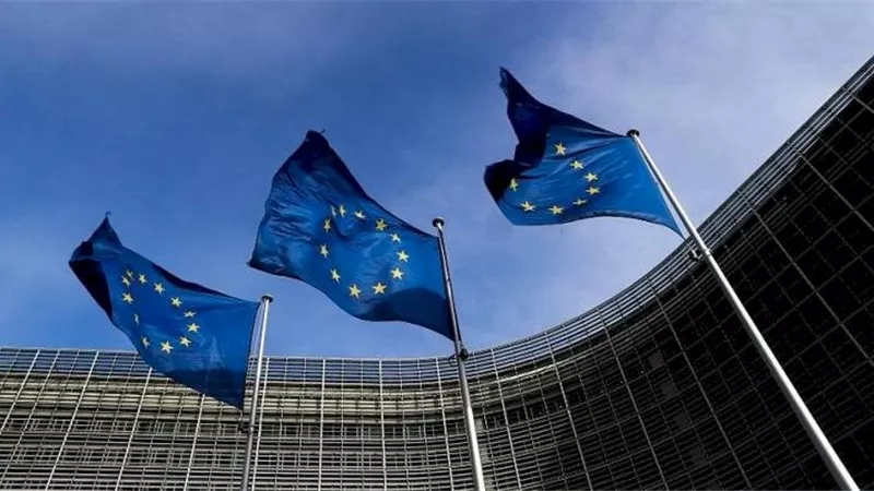 قاعدة بيانات اللاجئين والمغتربين الدولية.. تعرف عليها