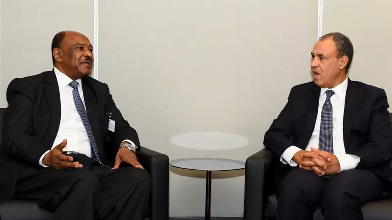مصر تؤكد رفضها تقسيم السودان وتدين انتهاكات الفاشر