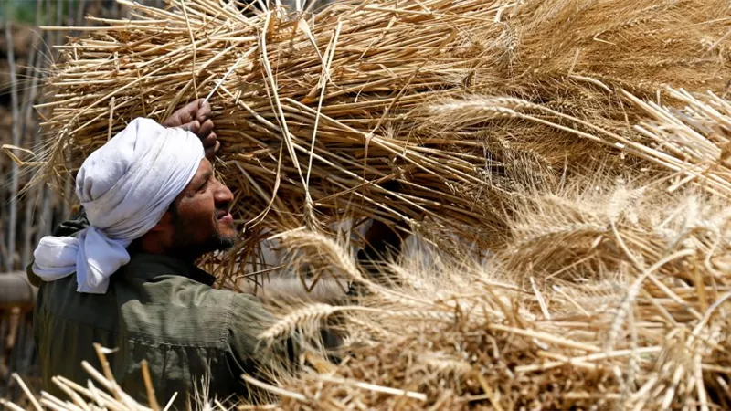 طريق بلا عملات صعبة.. نظام المقايضة يفتح باب الاستيراد الذكي في مصر