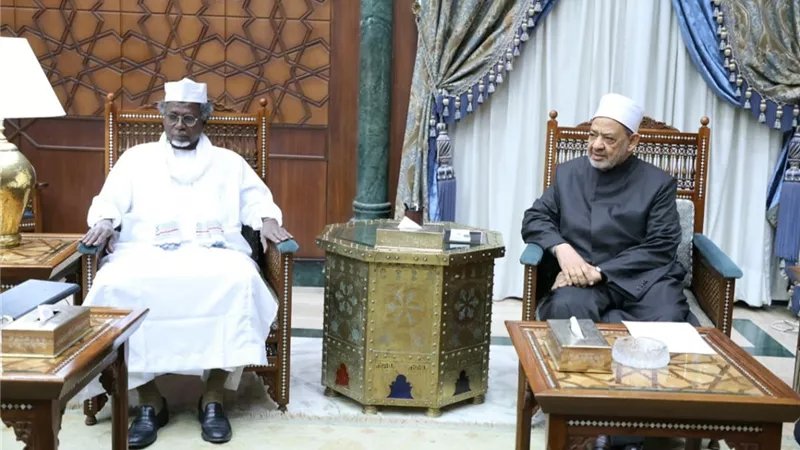 شيخ الأزهر ووزير التعليم العالي التشادي يناقشان تعزيز تعزيز العلاقات