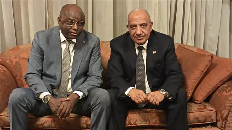عصمت: تعظيم مشاركة قدرات الطاقة المتجددة في مزيج الطاقة لتصل 42% عام 2030