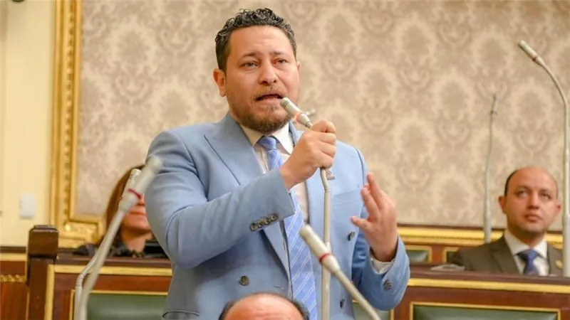 علاء عصام يقترح تأجيل جولة الإعادة لضمان نزاهة الانتخابات