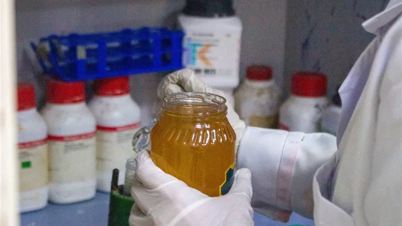  برنامج تدريبي متخصص للكشف عن غش عسل النحل في الغربية