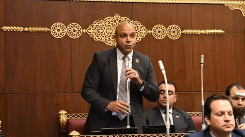 عضو التنسيقية: توجيهات الرئيس السيسي الانتخابية تؤكد تفاعله مع الرأي العام